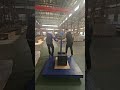 Ultra High Stability Platform Scale | Precision Weighing #scale #chinafactory