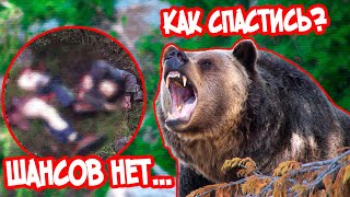 НАПАДЕНИЕ МЕДВЕДЯ! КАК СПАСТИ СВОЮ ЖИЗНЬ!?