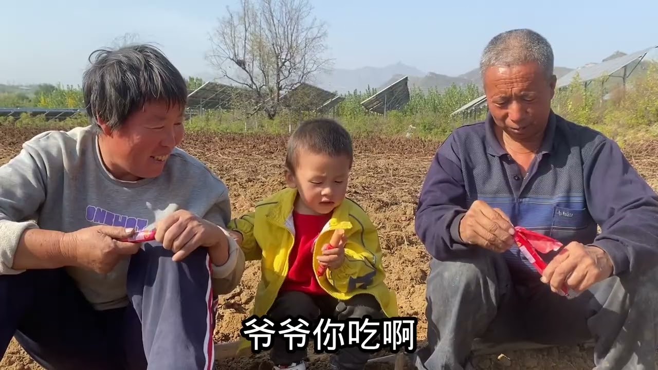 3岁宝宝下地刨红薯，干起活来有模有样，一举一动逗笑全家真热闹 #一份耕耘一份收获 #挖红薯 #干活我是认真的 #田园生活 #种地不容易 #农村孩子的乐趣