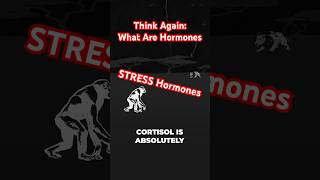 Clip: Stress Hormones - full episode on my channel! #ThinkAgain #Docuseries #Cortisol #Stress