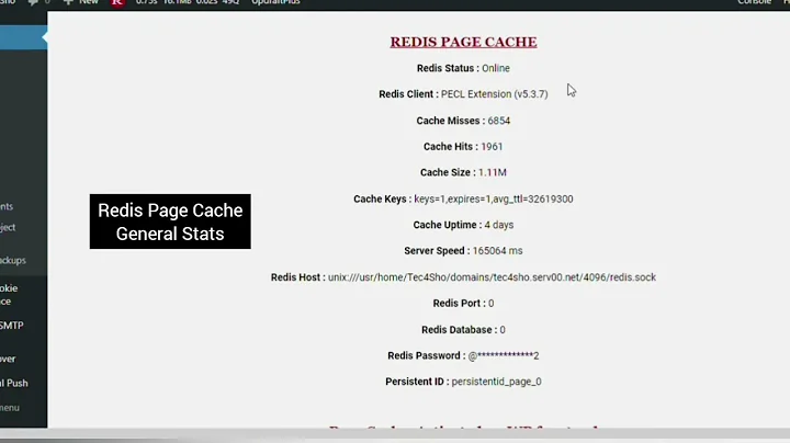 Boost Your WordPress Performance with Redis Page Object Cache