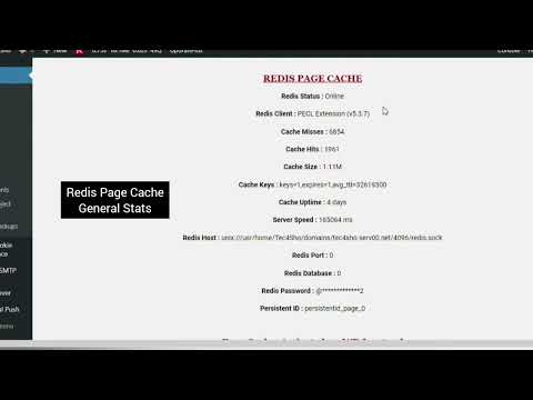 Boost Your WordPress Performance with Redis Page Object Cache