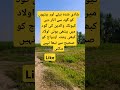 شادی شدہ بیٹے اور بیٹیوں کو گود سے اتار دیںکیونکہ والدین کی شادی شدہ بیٹے اور بیٹیوں کو گود سے اتار دیںکیونکہ والدین کی