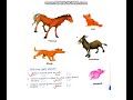 Chapter 1 Domestic animal