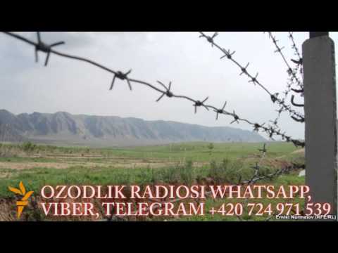 Сурхондарёда чегарачилар бир фуқарони отиб ўлдирди