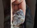 Tumbled rock from North Canada, pierres roulée du Nord canadien #crystals #minerals #agate