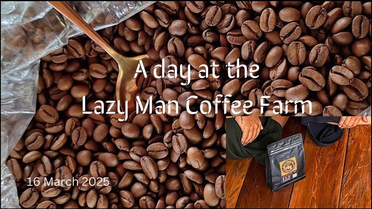 At the Lazy Man Coffee Farm - Thailand
