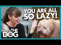 Laziness and Lies Make Victoria Lose Patience With Family |  It's Me or The Dog