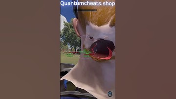 DOMINATION WITH QUANTUM CHEAT #shorts  #cheat  #rust  #hack