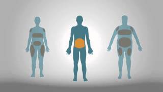 UK Biobank Imaging Study - heart and abdomen
