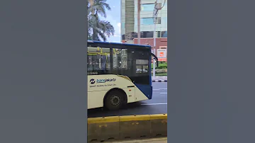 bus horn compilation