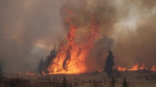 Help Prevent Wildfires in Scotland