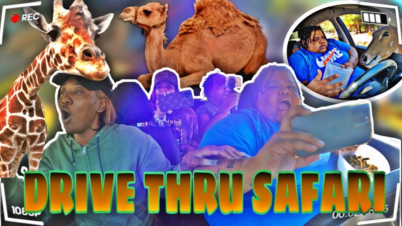 MOEVEMBER DAY 10 | DRIVE THEU SAFARI W/ THE GANGG (HILARIOUS)