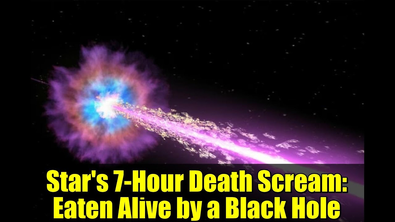 Star's 7-Hour Death Scream: Eaten Alive by a Black Hole