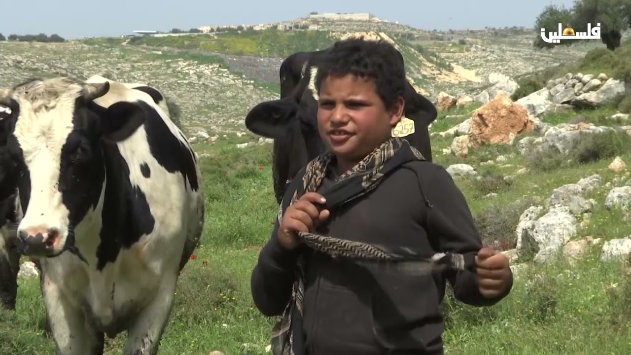 عشاق الأرض -  نعلين