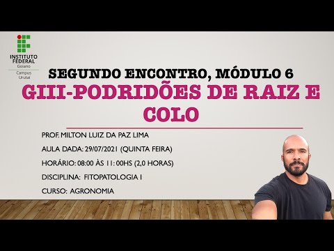 Vídeo: O que é a podridão da raiz da Armillaria: informações sobre sintomas e controle da podridão da raiz da Armillaria