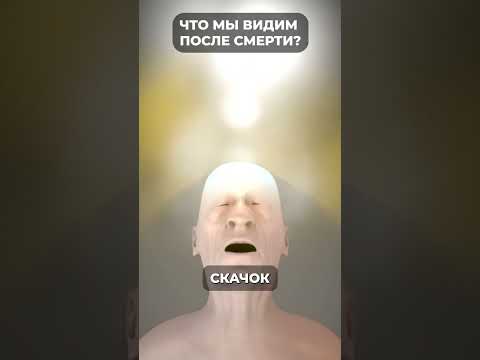 #shorts Что ты увидишь после смерти? Ответ Ученых