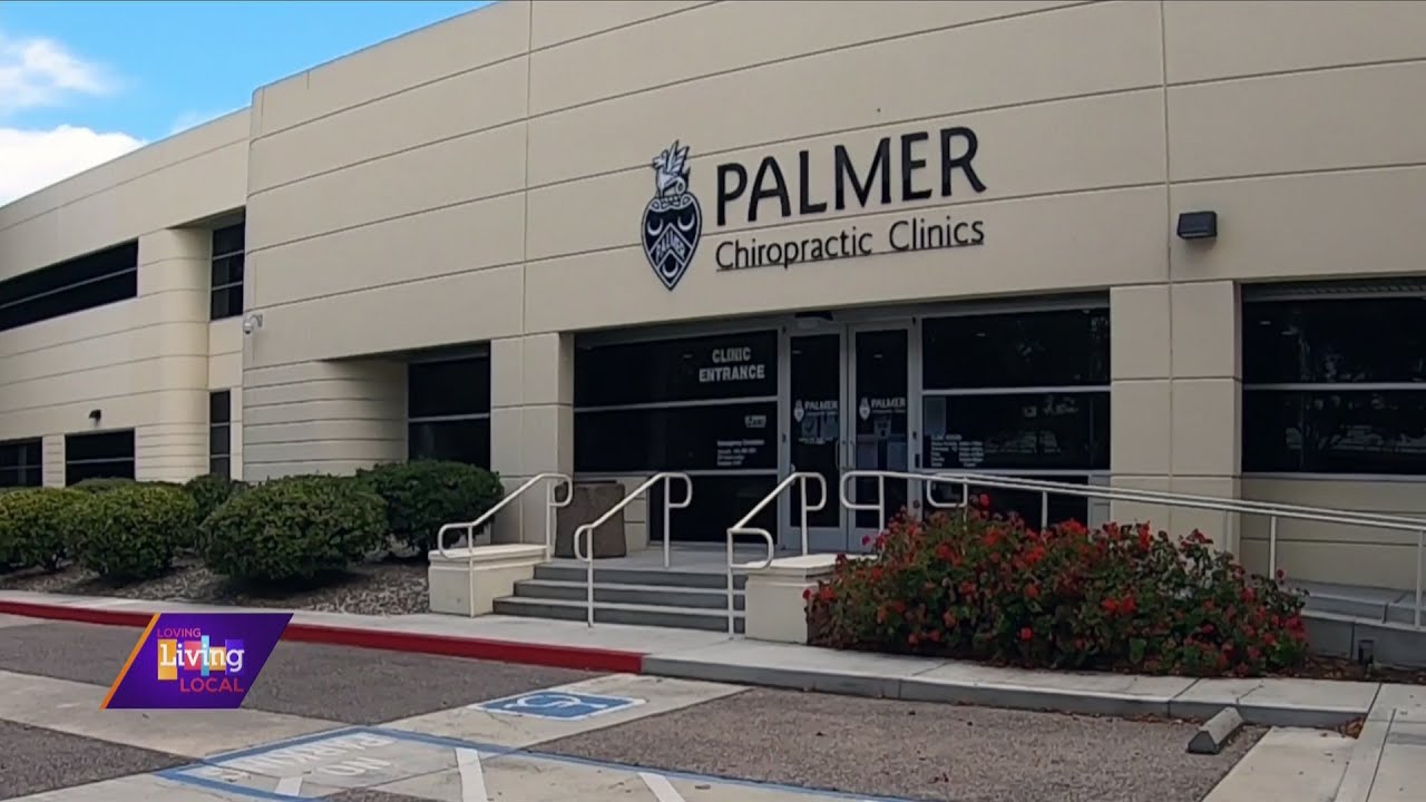 Out & About Palmer Chiropractic Clinic YouTube