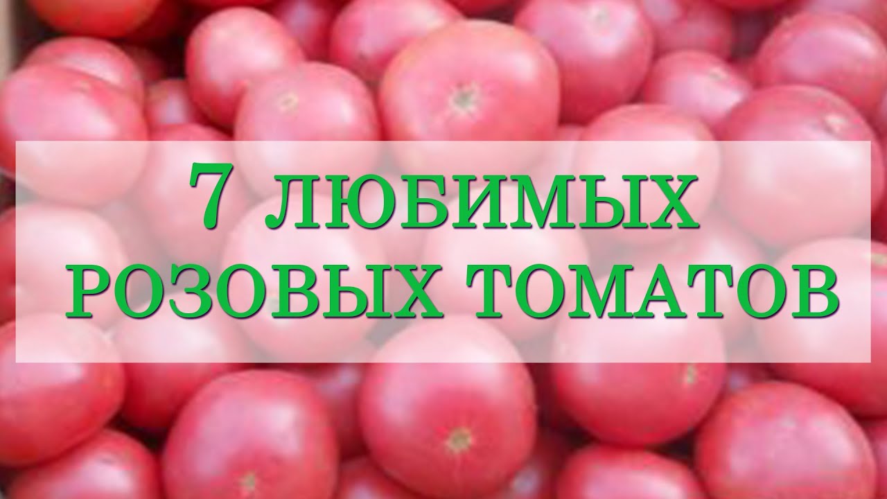 7 любимых розовых томатов. С этими томатами мы уверенны в большом и вкусном урожае!