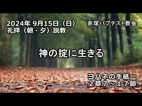 「神の掟に生きる」ヨハネの手紙Ⅰ 2章7～17節　2024/09/15 赤塚教会礼拝説教
