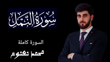 اعتزل العالم واستمع / سورة النمل / surah an-naml