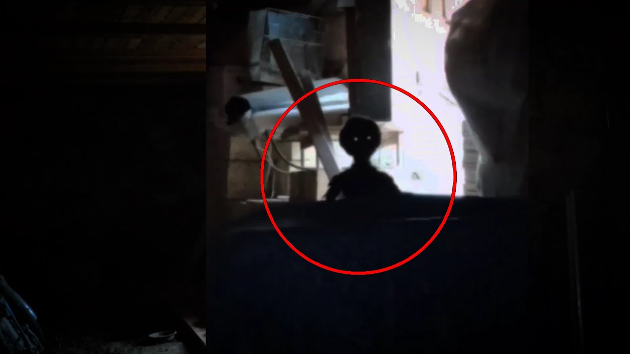 Strange creatures caught on camera in an abandoned house - YouTube