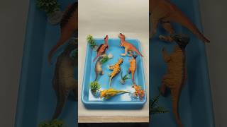 Oddly satisfying animal toys Asmr
