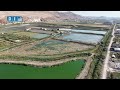 تصوير جوي يوثق مشهداً جمالياً لمسامك سهل الغاب