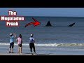 The Megalodon Shark Prank In Florida (Fishing For Tourists)