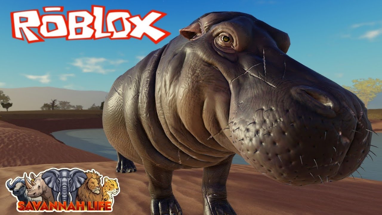 SAVANNAH LIFE da ROBLOX, HIPOPÓTAMO BLACK em busca de VINGANÇA! FUI UM PLAYER TÓXICO? 😢 GAMEPLAY