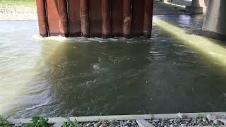 IMG 6942