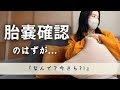 【不妊治療】流産の確率60%以上 . .