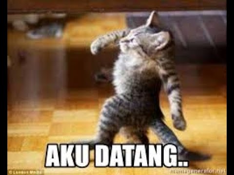 Roblox script : ROAD ROLLER DA - YouTube