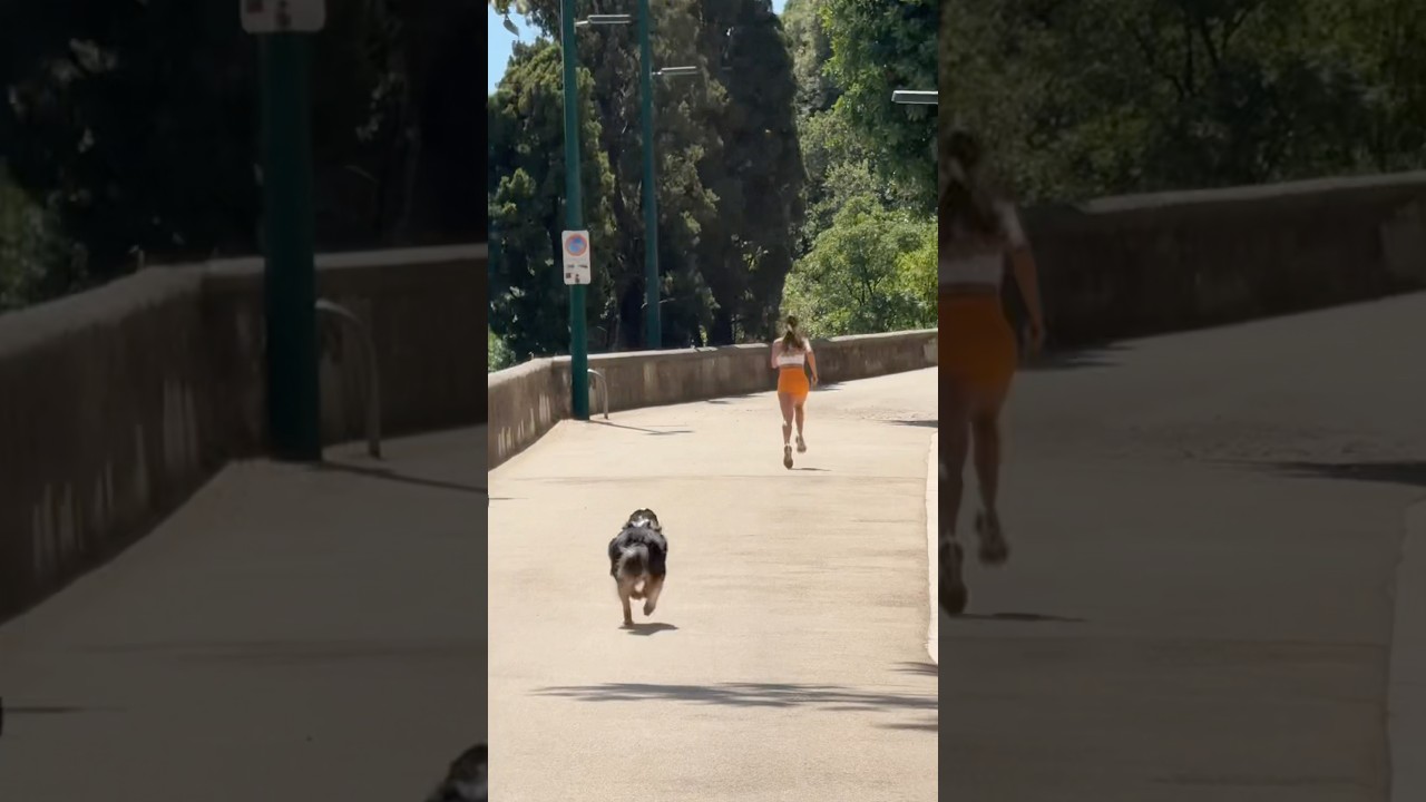 POV: You Think You’re Fast… Until Your Dog Says Otherwise 😳😱 
