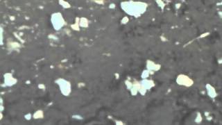 CLIP1127