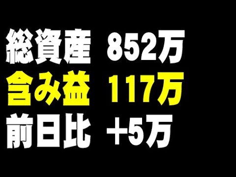 レバナスとSP500のおかげで今日も儲かった🤭