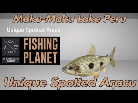 Unique Spotted Aracu - Maku-Maku Lake Peru - Fishing Planet Guide