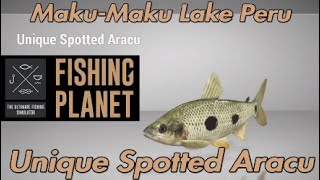 Unique Spotted Aracu - Maku-Maku Lake Peru - Fishing Planet Guide