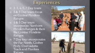 Bookabee Tours Australia