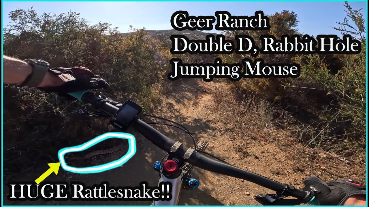 Geer Ranch MTB Geer Ranch Double D, Rabbit Hole, Jumping mouse - YouTube