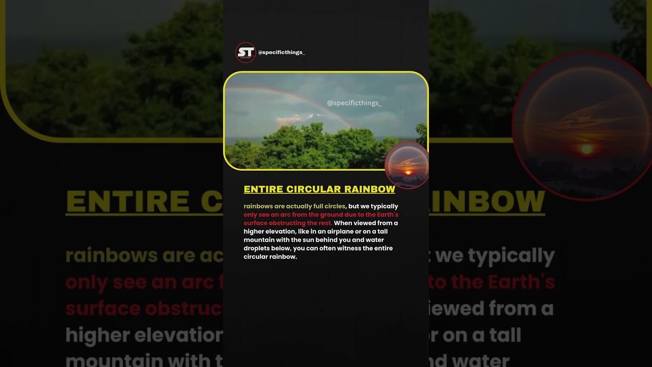 The Hidden Circle of Rainbows: What You Never See from the Ground. 