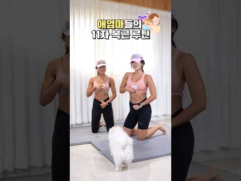 11자 복근 홈트레이닝 <strong>루틴</strong> #<strong>복근운동</strong> #홈트루틴 #absworkout