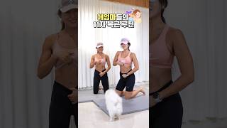 11자 복근 홈트레이닝 루틴