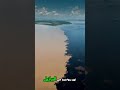 هل تعلم ان هناك نهر اسود في البرازيل