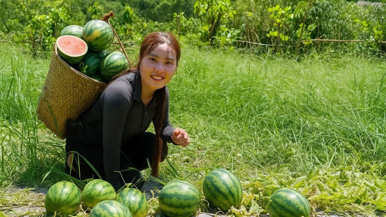 Harvest giant watermelons to sell at the market - cook porridge for little daughter to eat-full 4k