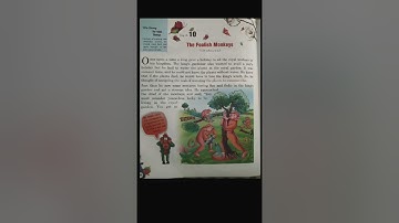 Class 3 moral science "The Foolish Monkeys"