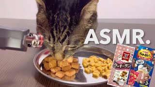 【ASMR】おやつを食べる音 the sound of eating a snack