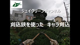 キャラ仕立物刈込み　刈込鋏を使った作業