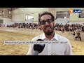 البليدة منافسة وطنية لجمال الخيل العربي الأصيل تجمع بين الرياضة والموروث الثقافي