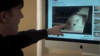 Hamster on a Piano + DEREK